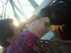 down on the farm down on the farm